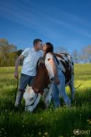 Guillain BOUQUET - GUILLAIN BOUQUET