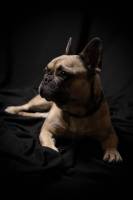 Marie-Emmanuelle DIOT LAPORTE - Memograph